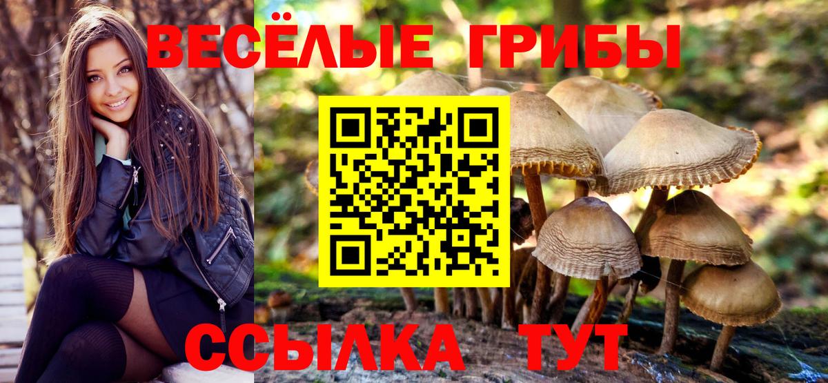 Ишим  Псилоцибиновые грибы Psilocybe  Вход с VPN 